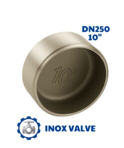 Chén hàn inox DN250