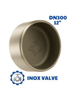 Chén hàn inox DN300