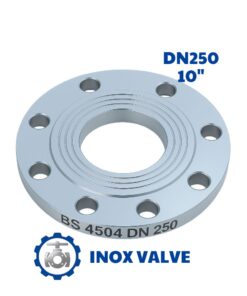Mặt bích inox BS DN250