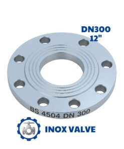 Mặt bích inox BS DN300