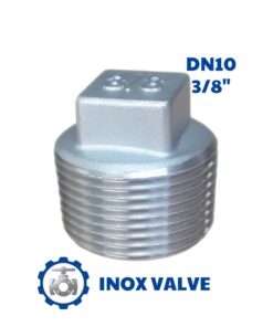Nút bịt inox ren DN10