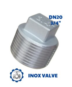 Nút bịt inox ren DN20