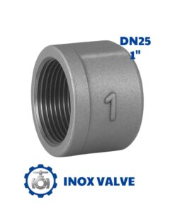 Nút bịt inox ren DN25
