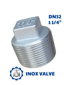 Nút bịt inox ren DN32