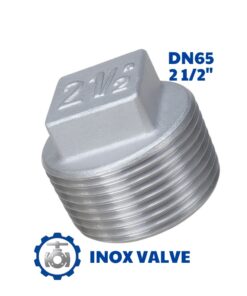 Nút bịt inox ren DN65