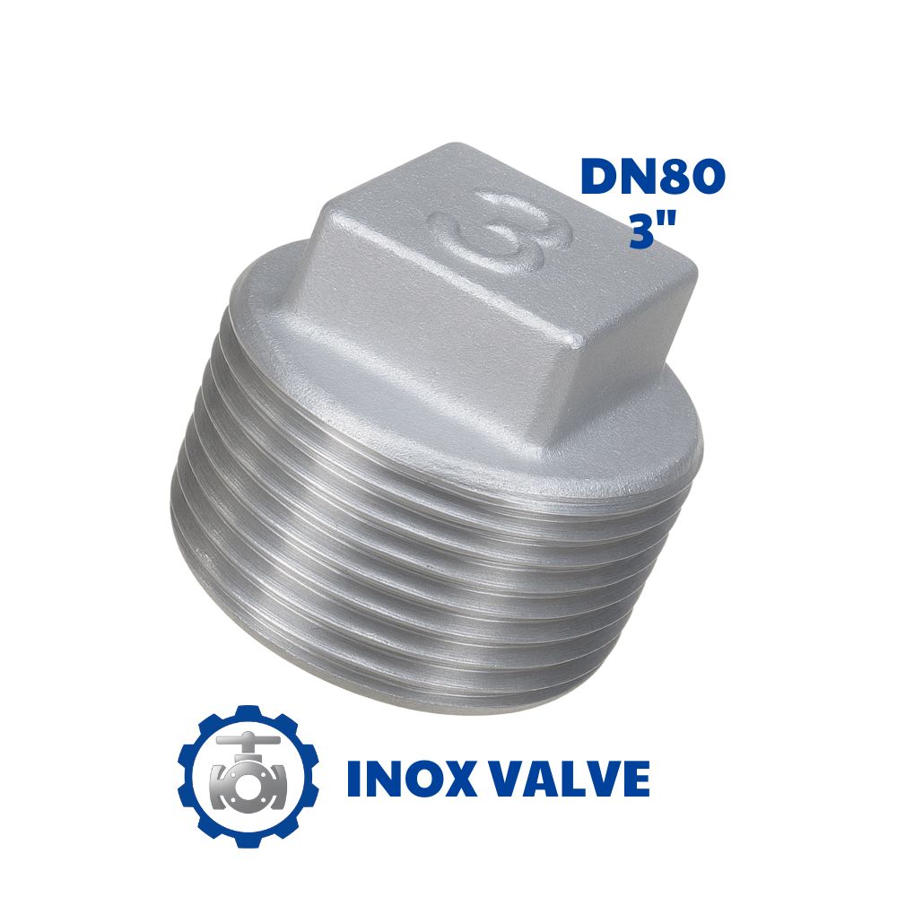 Nút bịt inox ren DN80