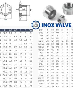 thông số kỹ thuật Lơ thu inox ren DN80