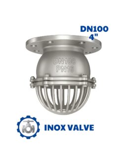 Rọ bơm inox mặt bích DN100
