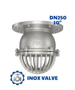 Rọ bơm inox mặt bích DN250