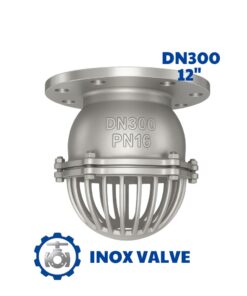 Rọ bơm inox mặt bích DN300