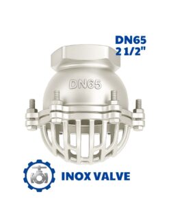 Rọ bơm inox ren DN65