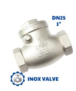 Van 1 chiều lá lật inox DN25