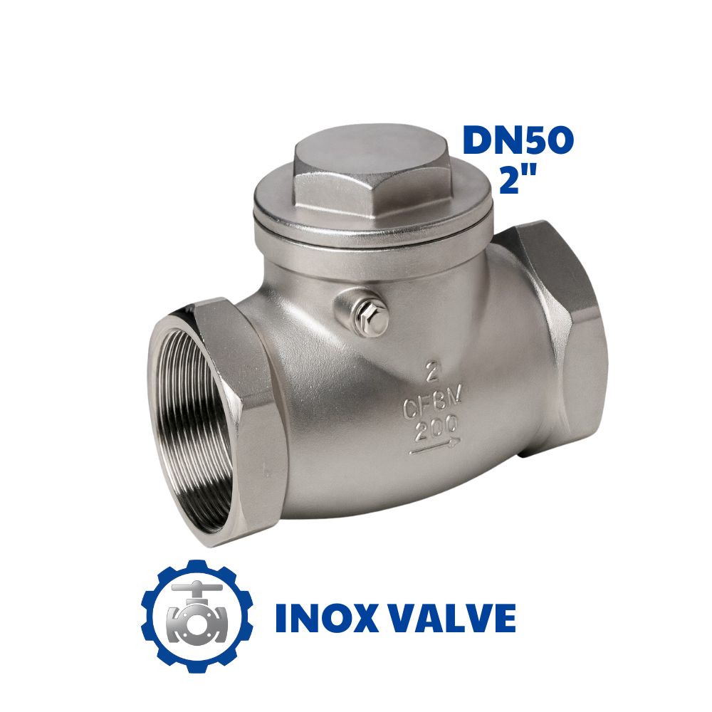 Van 1 chiều lá lật inox DN50