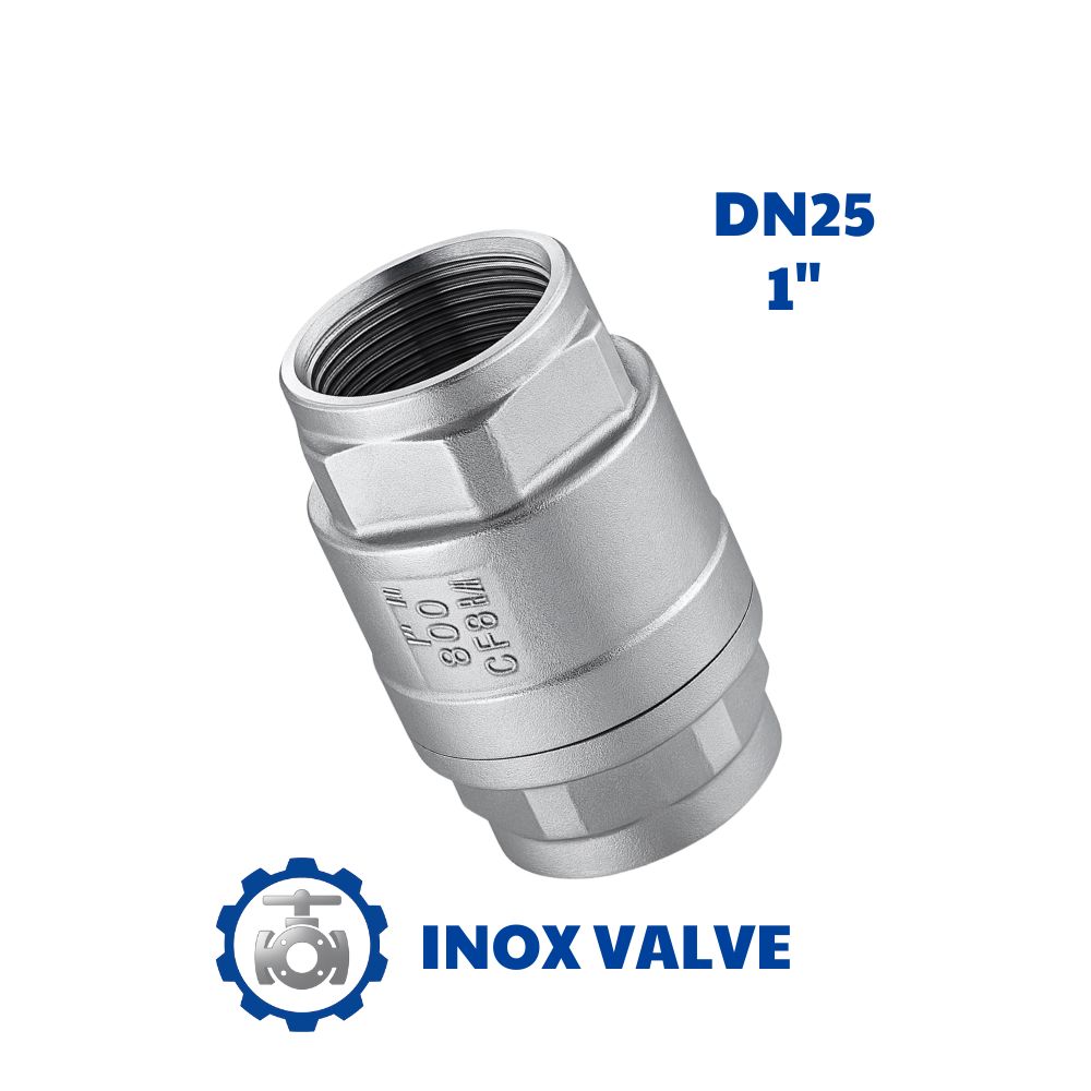 Van 1 chiều lò xo inox DN25